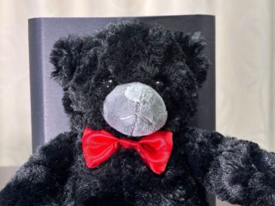 Unused Mercedes AMG Bear Teddy Bear not for sale box
