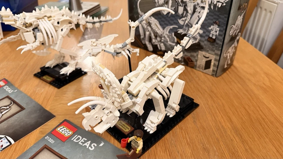 LEGO Ideas 21320 Dinosaur Fossils, photo 3 of 5