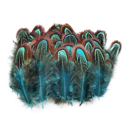 50 pcs Natural Pheasant Plumage Feathers 2-3 Inches 2-3inch-50pcs, Blue 