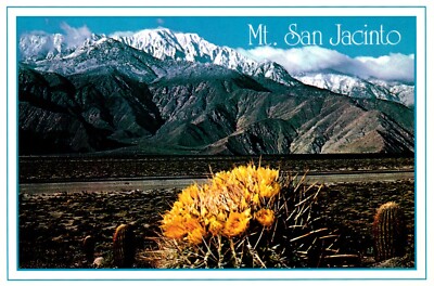 Springtime Contrast On The Desert Mt. San Jacinto California Postcard