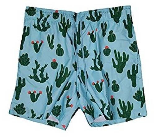 cactus swim trunks