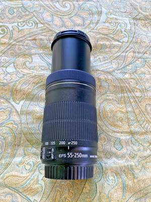 Clean Canon EF-S 55-250mm f4-5.6 IS STM Lens - NICE! | eBay