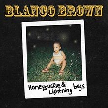 Honeysuckle  Lightning Bugs von Blanco Brown | CD | Zustand gut