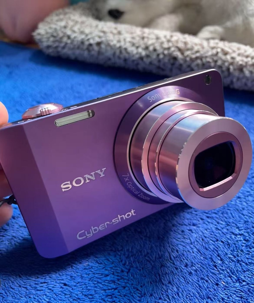 Sony Cyber-shot DSC-WX10 16.2MP 7X Optical Zoom Digital Camera