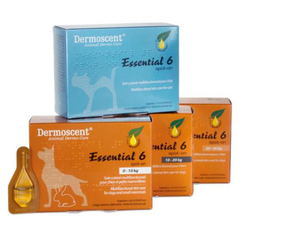 essential 6 spot on for cats