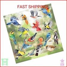 decalmile Spring Summer Birds Window Clings Double Sided Hummingbird Parrot Anti