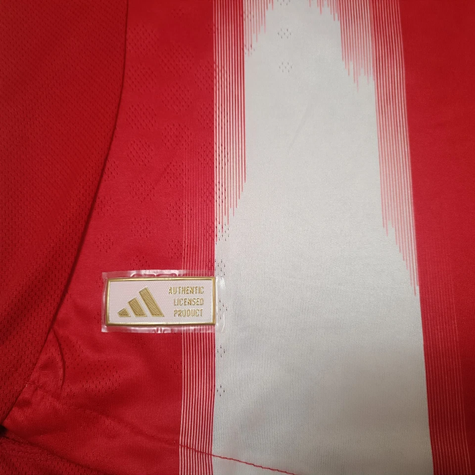 Camiseta Player Version Bayern Munich 25-26 De Harry Kane Talla M - Imagen 3 de 4