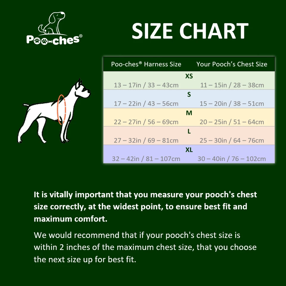 Premium Dog Harness No Pull With Sturdy Handle 2 Lead Attachments by Poo-ches® - Image 2 of 4