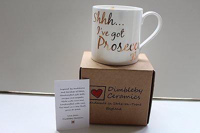 Shhh I've got Prosecco Grippe .... Fine Bone China Becher - Handmade in Stoke-on-Trent