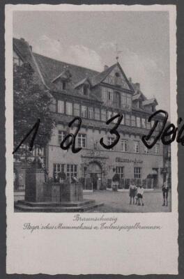 1153Q) Postcard postcard Braunschweig Steger's Mummelhaus & fountain    