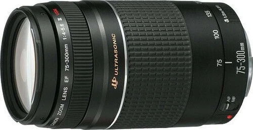 Choice of Canon 75-300mm f/4.0-5.6 EF Auto Focus Zoom Lens; USM All Versions