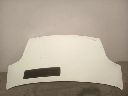 Capo para RENAULT TRAFIC II FURGÓN Doble cabina L1H1 2,7t 2010 191608 - Imagen 1 de 7