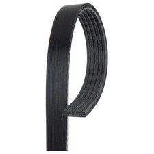 Keilrippenriemen für Renault Modus-Grand F/JP0 Scénic 2 JM0/1 Thalia 1 | 24343