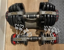 SERIES 1 ONLY - Bowflex Nautilus SelectTech 552 Dumbbells Replacement Disc Set