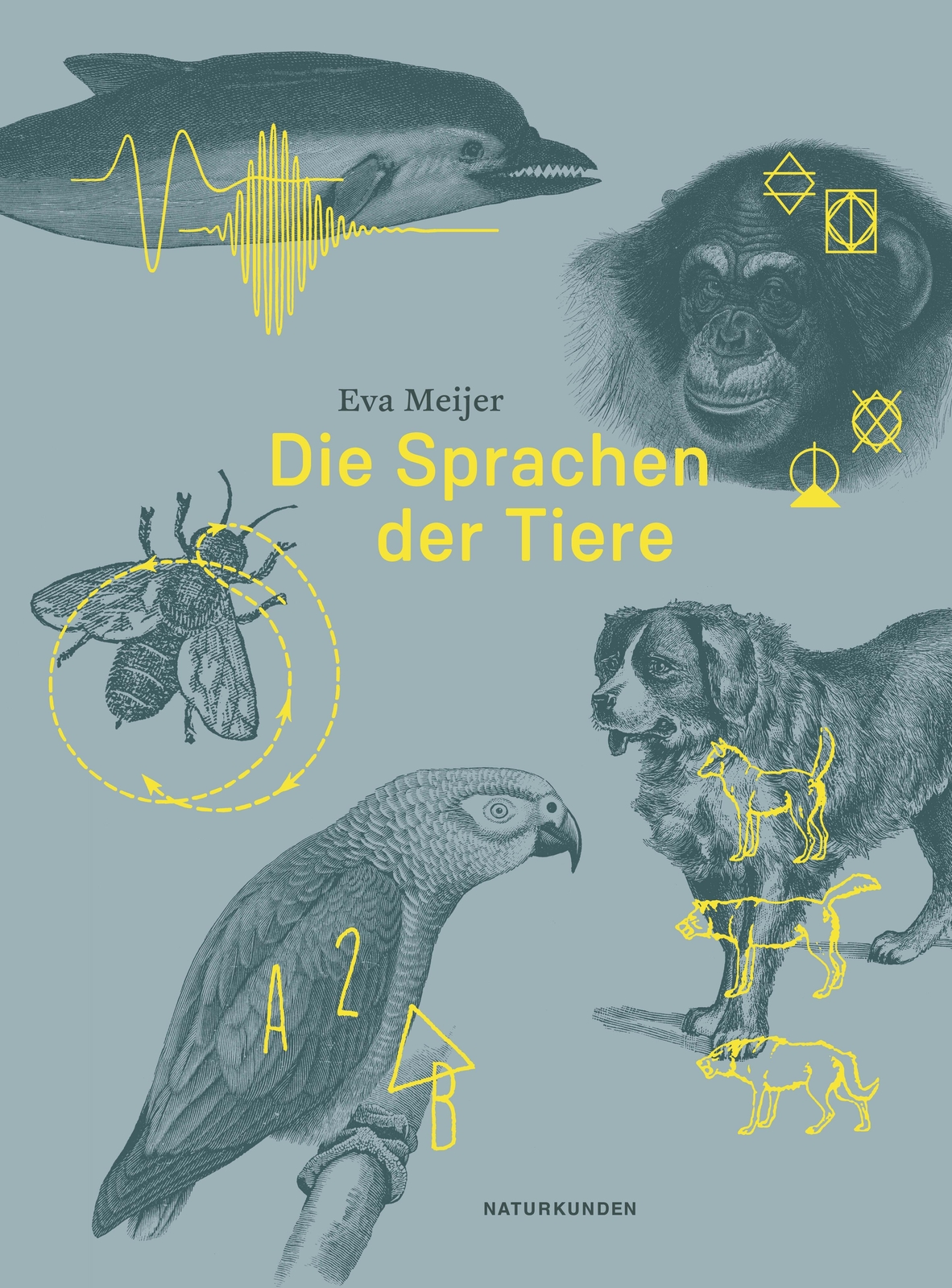 Thumbnail - Die Sprachen Der Tiere | Eva Meijer | Deutsch | Buch | Naturkunden |
