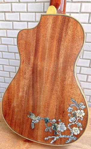 Alulu Solid Acacia Koa Concert cutaway Ukulele, bird inlay HU1632 - Picture 10 of 17