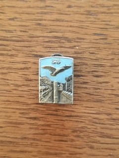 Spilla Distintivo OND Regno Opera Nazionale Dopolavoro Guerra Italia