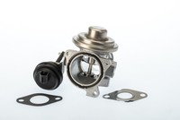AGR Ventil Borgwarner (Wahler) 7241D/1 FüR VW Passat B5 3B2 Variant 3B5 3B3 7M8