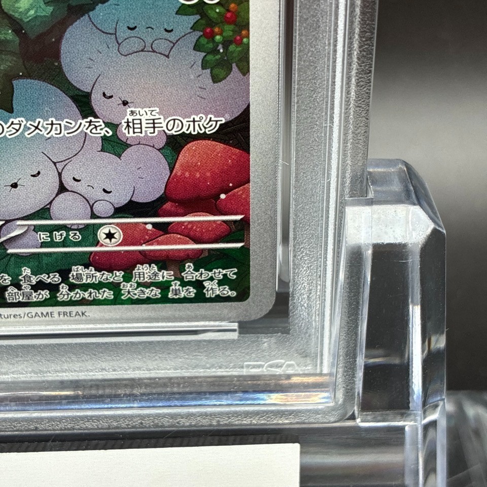 PSA 10 Maushold AR 081/071 SV2D Clay Burst Pokemon Card Japanese