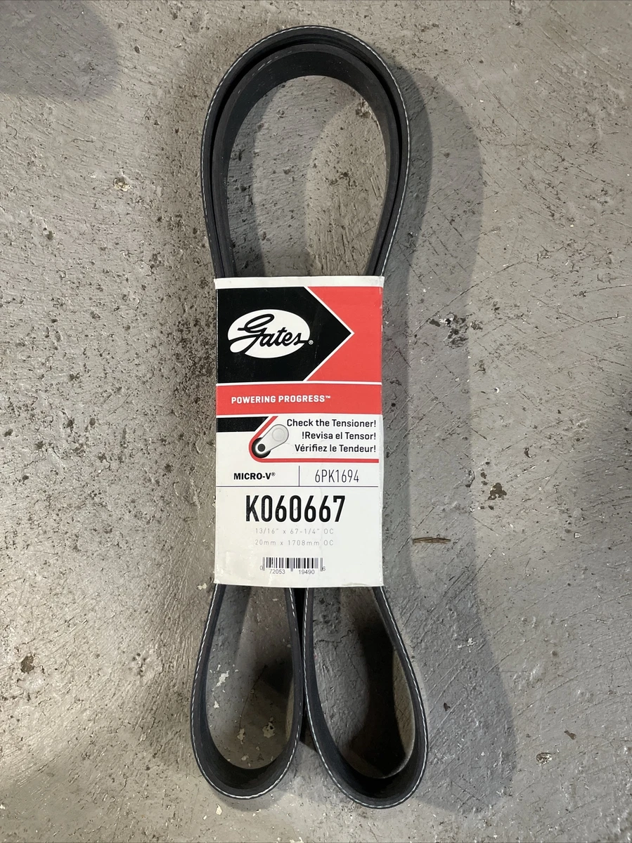 Serpentine Belt-Premium OE Micro-V Belt Gates K060667 6pk1694 | eBay