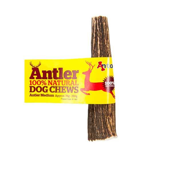 antos antler