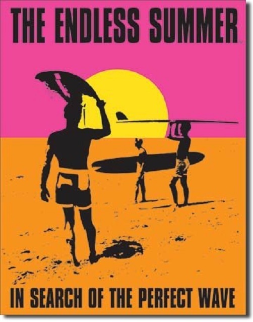 Endless Summer Search Of A Perfect Wave Surf Retro Wall Decor