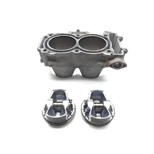 Polaris 2018 RZR S 900 EPS Engine Cylinder Jug W Piston 3445 2205244, 3023155
