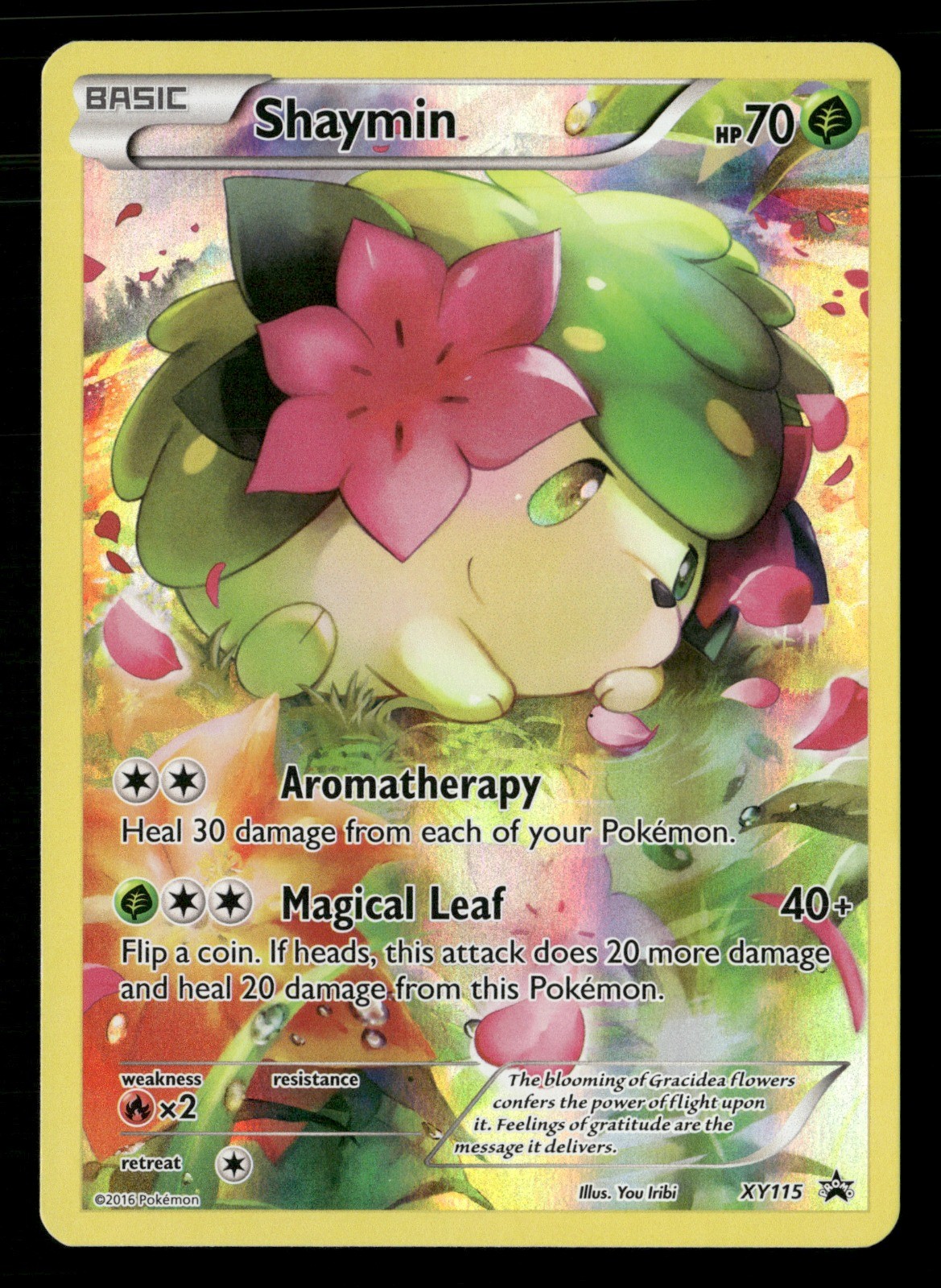Shaymin - Holo XY Promos XY115 MP Pokémon TCG