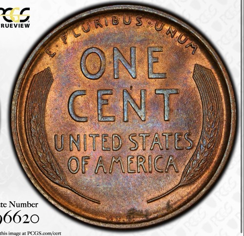 1909 P VDB Lincoln Wheat Cent Penny PCGS MS64 RB Red Brown Light Toning Toned - Picture 2 of 7