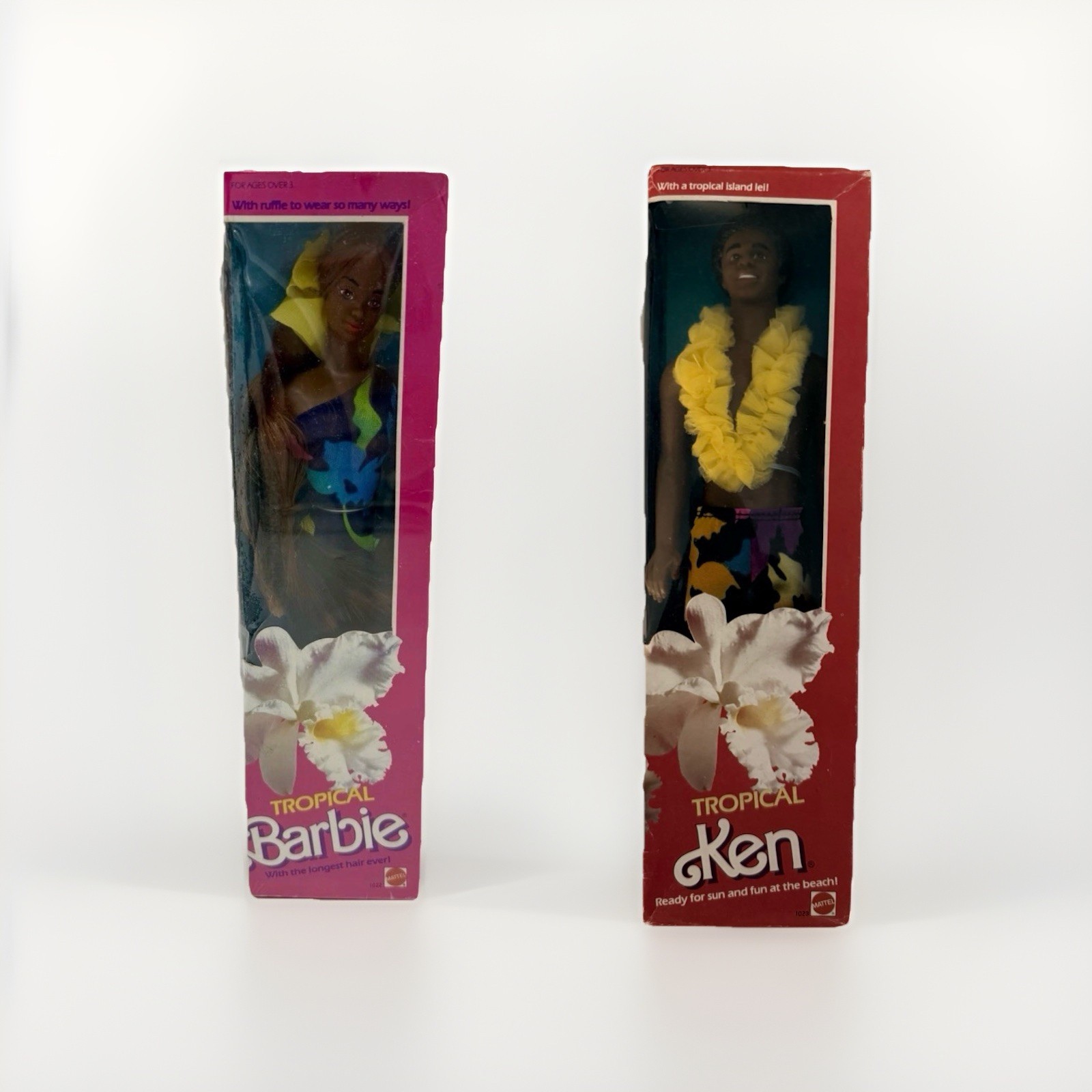 Poupée Barbie 1985 TROPICAL Christie et Steve, Édition Collector NRFB Rare