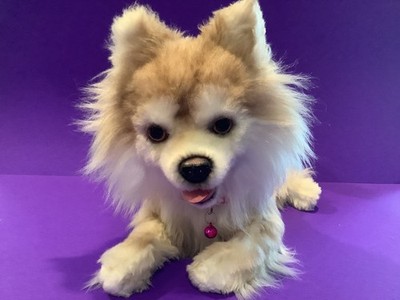 CUDDLE CLONE brand plush POMSKY PUPPY