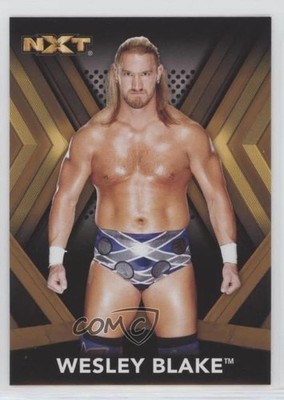 2017 Topps WWE NXT Roster Bronze Wesley Blake #34 Rookie RC 2o7