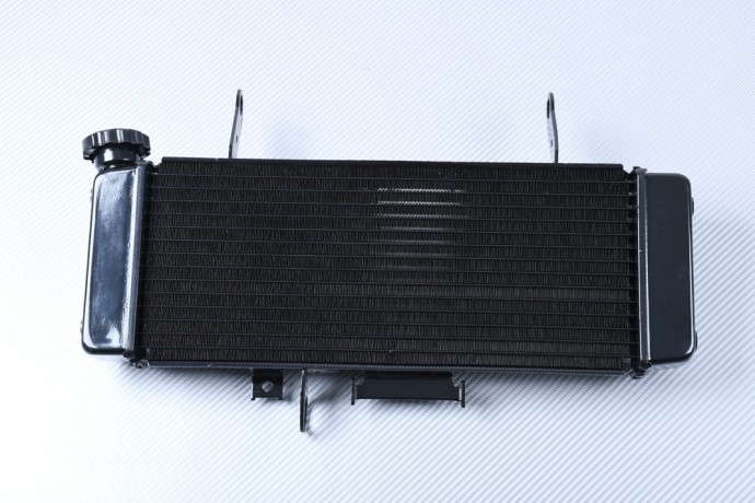 Radiateur eau de rechange Suzuki SV650N WVBY pour réparer une fuite
