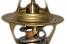 Thermostat Triumph 2000