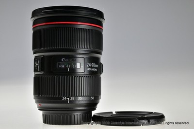 Canon EF 24-70mm f/2.8 L II USM Zoomobjektiv, sehr gut