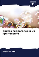 Marwa M. Jeid | Sintez Gidrogelej I Ih Primenenie | Taschenbuch | Russisch