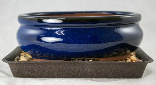 6" Oval Dark Blue Glazed Shohin Bonsai, Cactus & Succulent Pot/Combo/Kit - Picture 10 of 11
