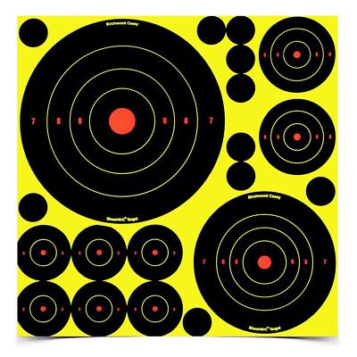 Birchwood Casey Shoot-N-C Pink Reactive Target 8 Inch Bullseye 6 Per Package 34808 Review - Foto 2