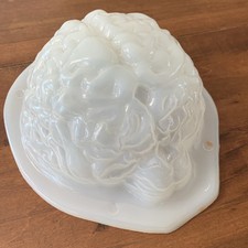 Molde de caramelo gelatina pastel cerebral único cabeza de plástico neurociencia biología terror 9"
