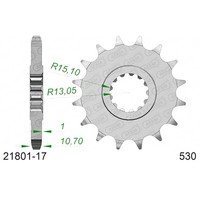 Ritzel Afam Stahl P530 - Z17 (DIS.21801) Yamaha 1000 FZ1-N 06/15