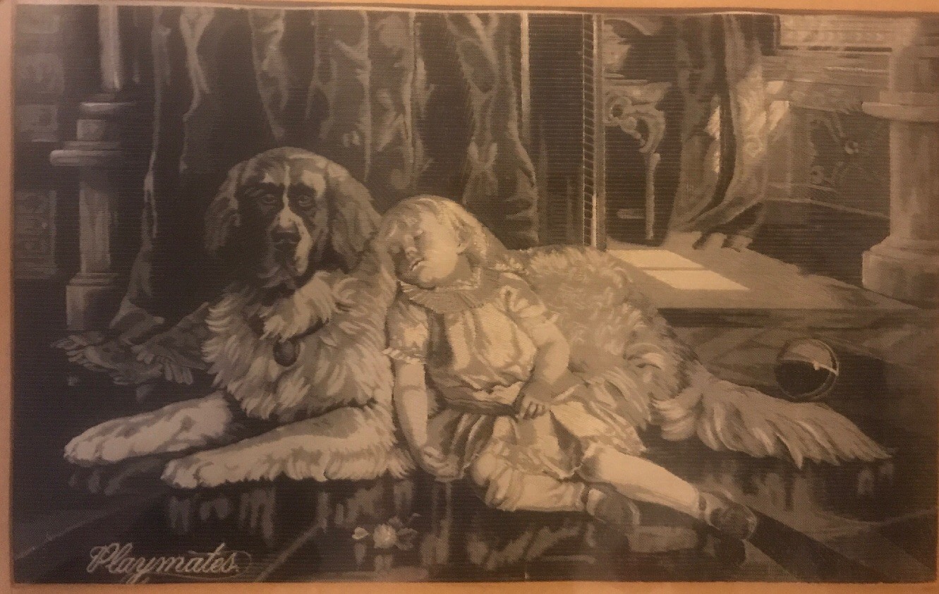 Picture 12 of 12