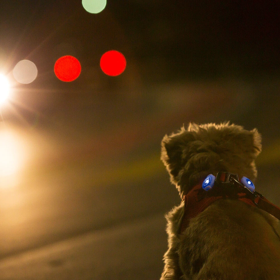 Ultra Bright LED Dog Collar /Harness light Curli 1336 Luumi  M192 Free P&P *sale - Image 2 of 3