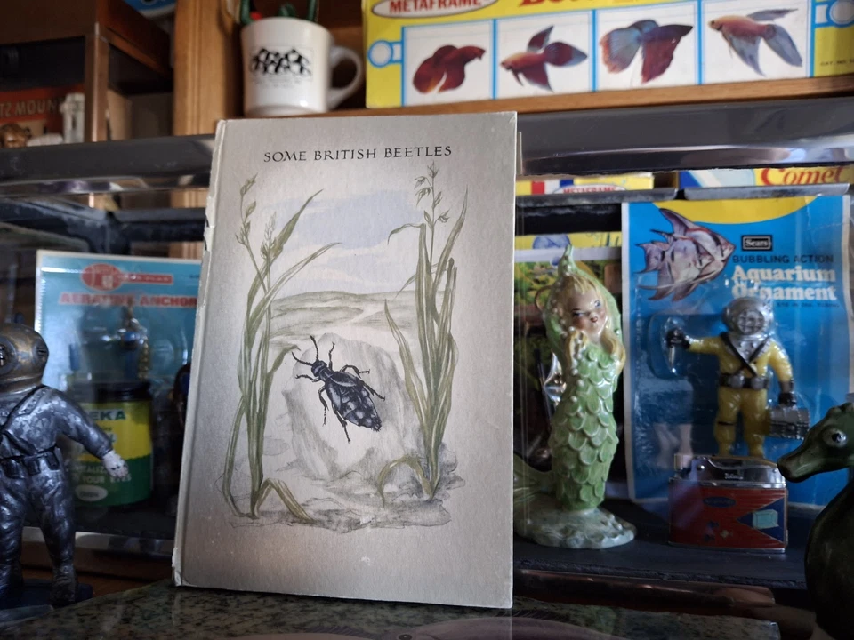 老式老式水族箱美丽池塘昆虫 1948 年一些英国甲虫 - 小册子  — 第 4/4 张图片