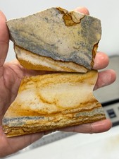 Disaster Peak Picture Jasper slabs Cabbing Lapidary Collecting Combo Ship Avail