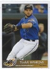 2016 Akron RubberDucks (Double-A Cleveland Indians) Todd Hankins