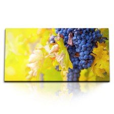 120x80cm Kunstdruck Bilder Trauben Weintrauben Rebe Sonnenschein Weinrebe