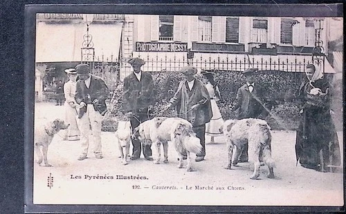 Old postcard les PYRENEES Cauterets le marché aux chiens