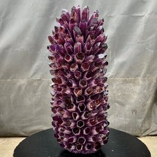 27.86lb New Find Purple Phantom Quartz Crystal Cluster Mineral Specimen Healing 27.86lb New Find Purple Phantom Quartz Crystal Cluster Mineral Specimen Healing