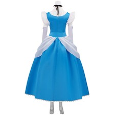 Cinderella Blue Fancy Dresses for Women for sale | eBay