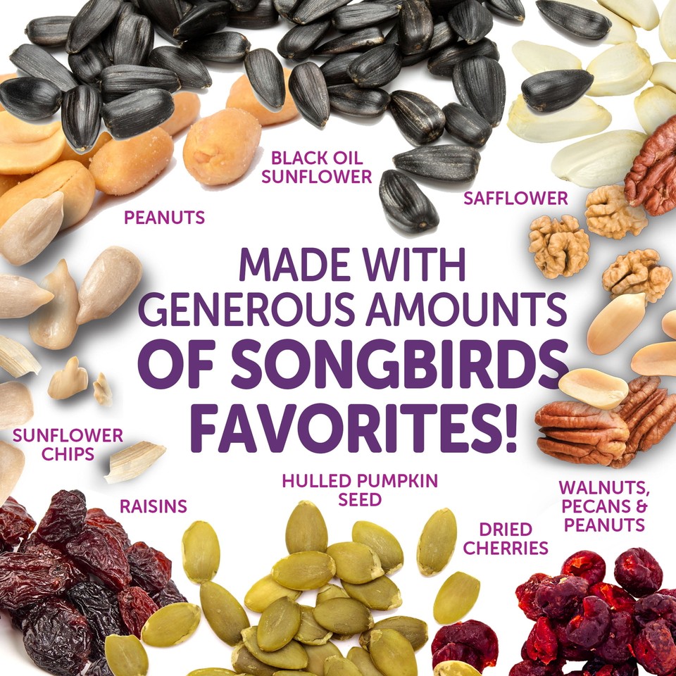 Pennington Ultra Double Nut & Fruit Blend, Wild Bird Seed and Feed, 10